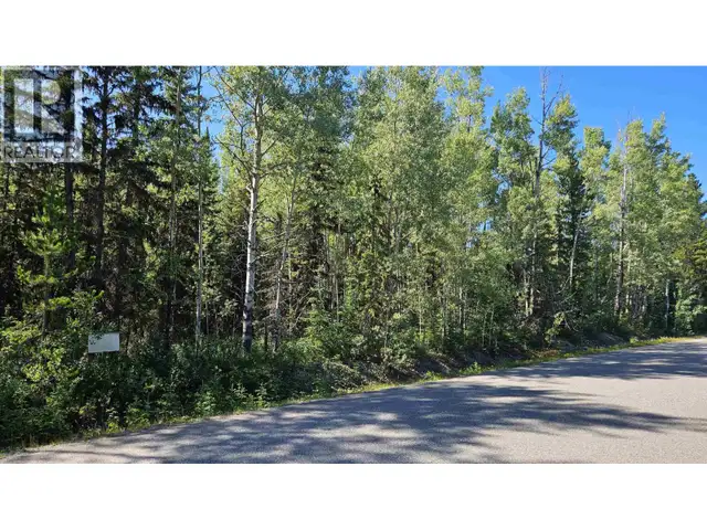 LOT 2 E MEIER ROAD Cluculz Lake, British Columbia in Land for Sale in Vanderhoof - Image 6
