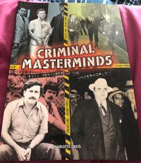 Criminal masterminds-evil geniuses of the underworld