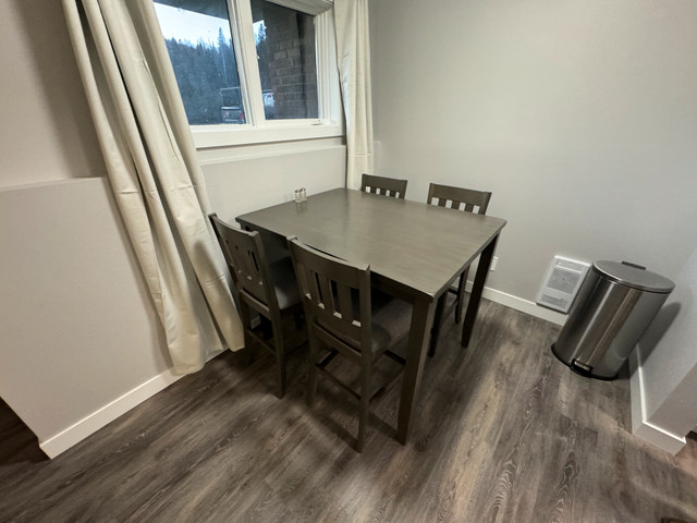 Beautifully Renovated 2 Bedroom, 1 Bathroom Apt in Schreiber dans Locations longue durée  à Thunder Bay - Image 4