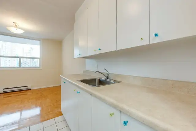 Bloor and Jarvis Area - in Long Term Rentals in City of Toronto - Image 26
