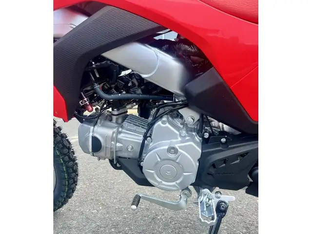 2025 Honda CRF110F in Dirt Bikes & Motocross in Bathurst - Image 7