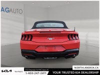 2025 Ford Mustang EcoBoost Premium Odometer is 1188 kilometers below market average! Ready for anyth... (image 2)