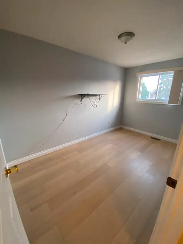 Floor Installation – Vinyl, Laminate, Hardwood62864741949826124