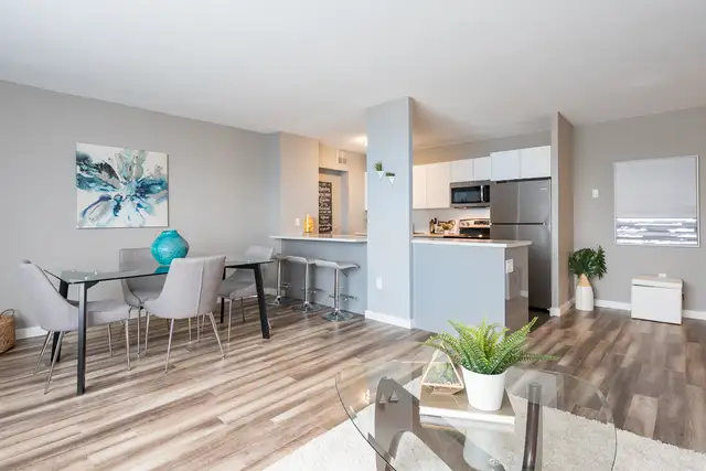 41 Cowie Hill Road - Terrace View Apartment for Rent in Long Term Rentals in City of Halifax - Image 5