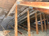 Professional Mold Removal – Affordable & Effective !! Mississauga / Peel Region Toronto (GTA) Preview