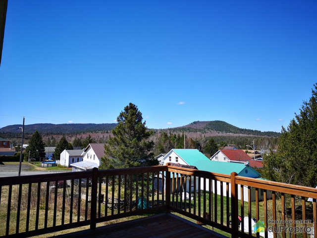 330 000$ - Bungalow à vendre à St-Joseph-De-Coleraine dans Maisons à vendre  à Thetford Mines - Image 4