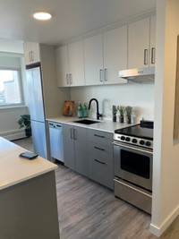 **ONE MONTH FREE RENT** Renovated Centretown two bedroom