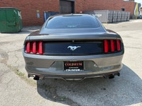 Unleash the spirit of the open road with this 2015 Ford Mustang Fastback Ecoboost Premium, finished... (image 3)