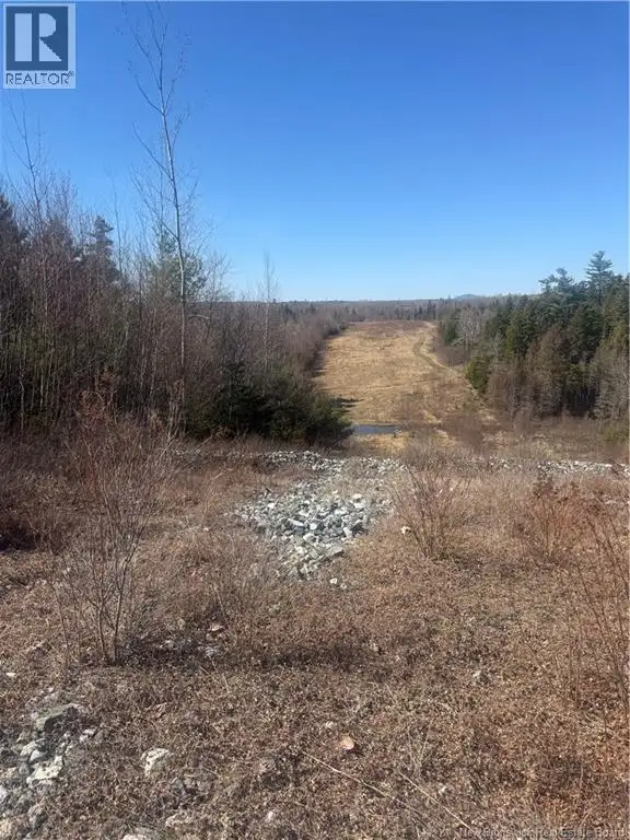 Vacant Land Route 785 Mcdougall Lake, New Brunswick in Land for Sale in Fredericton - Image 5