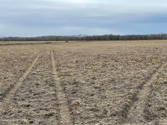 0 40W/47N Road St Claude, Manitoba in Land for Sale in Portage la Prairie - Image 4