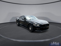 City Ford is Family Owned and Operated serving Edmonton and area for Over 37 Years - Over 300 New &... (image 1)