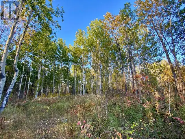 6524 HIGHWAY 11 HIGHWAY N Iroquois Falls, Ontario in Land for Sale in Timmins - Image 18