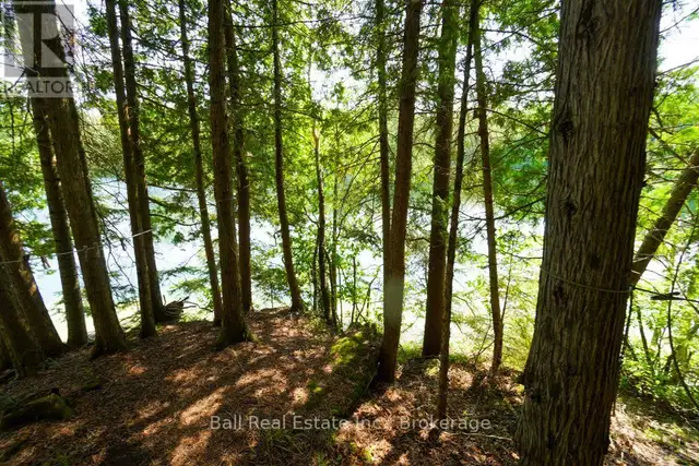 382 OLD DETLOR ROAD Bancroft (Dungannon Ward), Ontario in Land for Sale in Trenton - Image 38