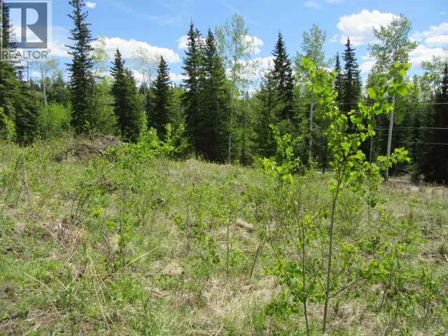 LOT 4 N BONAPARTE ROAD Bridge Lake, British Columbia in Houses for Sale in 100 Mile House - Image 29