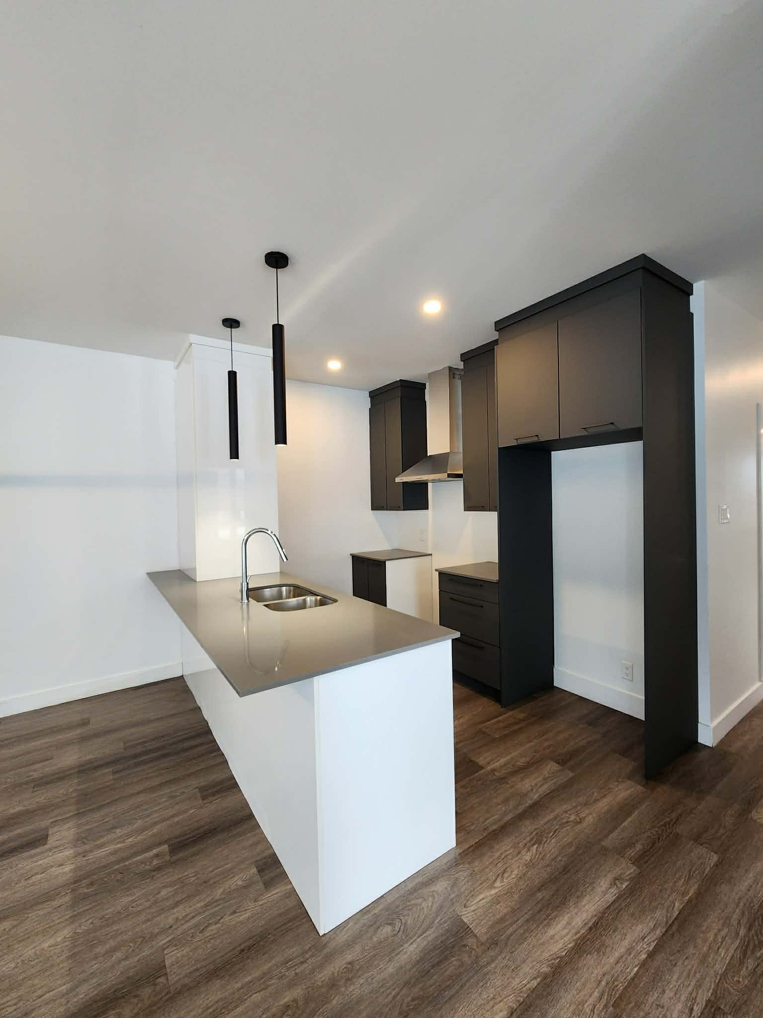 ** 6 1/2 ** Style condo - Plateau McCrea — photo 3