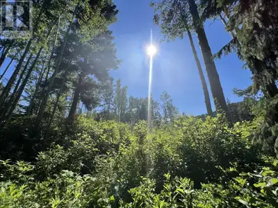 Building lot close to downtown!! This 1.3 Acre lot is at the base of the ski hill, minutes to the cr...