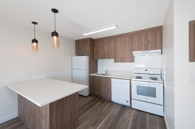 Bridgeland Apartment For Rent | Bridgeland Apartments in Long Term Rentals in Calgary - Image 2