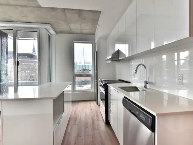 4 1/2-Condo Apartment for rent-Latin Quarter metro Berri62864749969538121