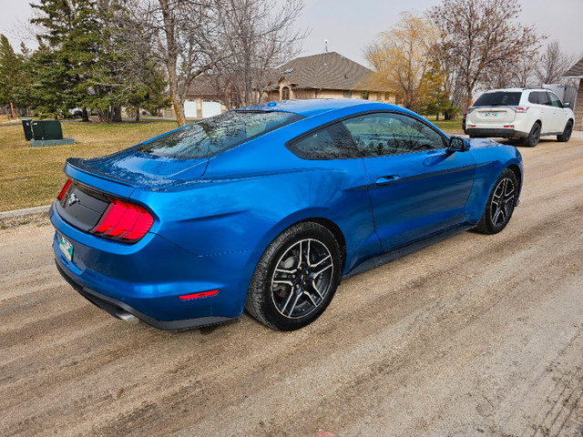 2019 Ford Mustang EcoBoost 18" Wheels 10 Speed Automatic in Cars & Trucks in Winnipeg - Image 2