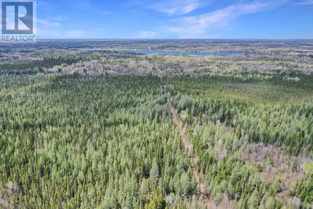 FAUQUIER-STRICKLAND - 319 HIGHWAY 11 Kapuskasing, Ontario in Land for Sale in Kapuskasing - Image 11