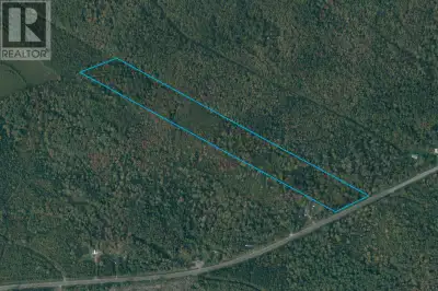 If country living with agricultural zoning is what you are looking for then Lot 6 Highway 321, Rosli...