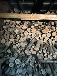 Winter hard wood  for your woodstove or fireplace