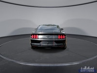 City Ford is Family Owned and Operated serving Edmonton and area for Over 37 Years - Over 300 New &... (image 6)