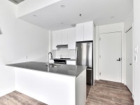 Studio 2.5 2 1/2 Condo appartement à louer-logement locatif-apartment rental for rent Plateau-Mont-R... (image 5)