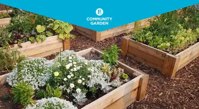 Pet-Friendly One Bedroom One Bath with In-suite Laundry for Rent, View more