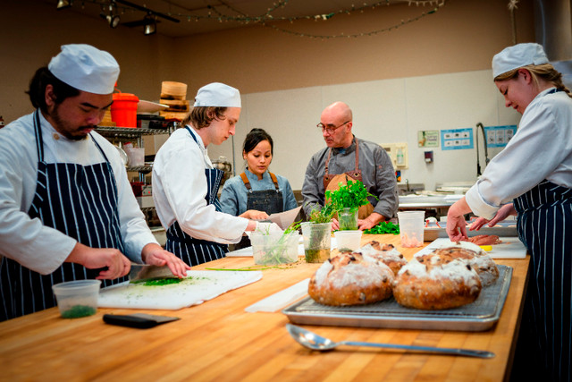 CULINARY PRE-APPRENTICESHIP TRAINING - Chefs, cooks, students! in Bar, Food & Hospitality in London