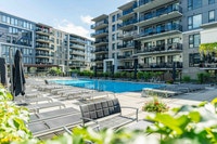 Plus de choix, plus de confort, à portée de main ! Découvrez nos locations d'appartements adaptées à... (image 8)