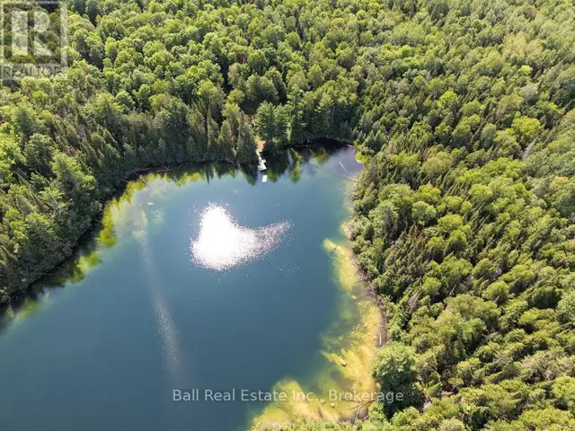 382 OLD DETLOR ROAD Bancroft (Dungannon Ward), Ontario in Land for Sale in Trenton - Image 7