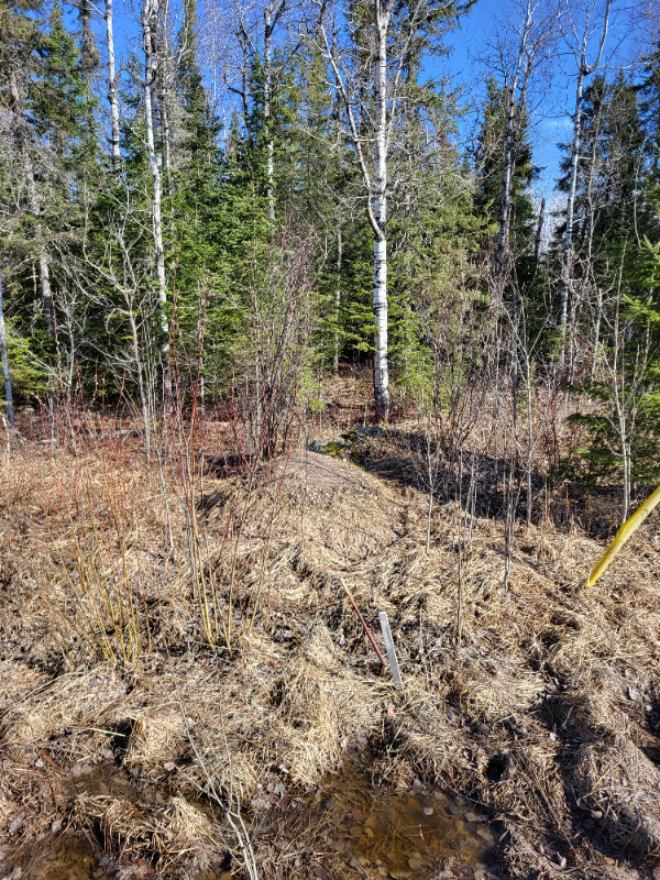 Vacant Land - Jones Road 0, Lot 2 in Land for Sale in Kenora - Image 2