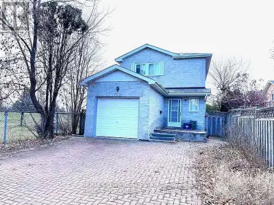 BSMT - 232 AVENUE ROAD Richmond Hill (North Richvale), Ontario