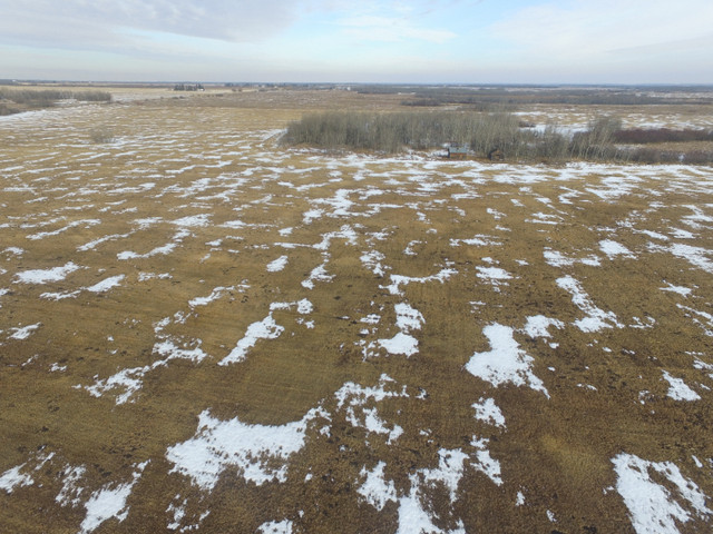 75 Acres of Farm Land, Available in a Timed Online Auction in Land for Sale in Strathcona County - Image 3