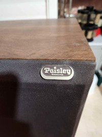 paisley research 5.5 speakers with stands