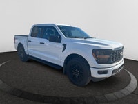 For more than thirty years, the Ford F-150 has been one of the best selling cars in the U.S. It’s a... (image 6)