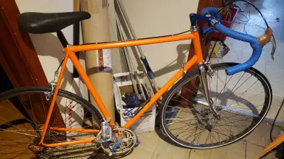 Road bike XL ROSSIN  Campy parts fresh powdercoat Mavic wheels, View more