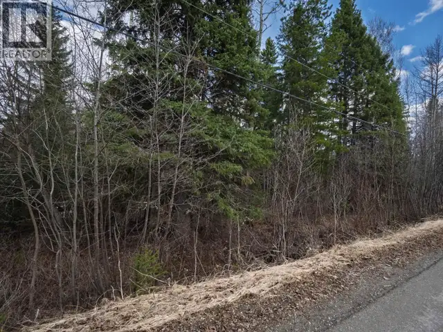 9048 HILLTOP ROAD Prince George, British Columbia in Land for Sale in Prince George - Image 6