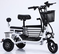 High-Speed Electric Tricycle Lithium Battery 3-Speed, Brand New, Vancouver Greater Vancouver Area Preview