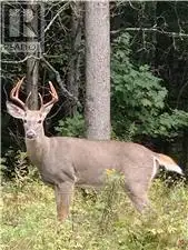 LOT 28 R13 ROAD Rideau Lakes, Ontario in Land for Sale in Ottawa - Image 30