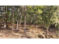 938 23 Highway Nakusp, British Columbia Nelson British Columbia Preview