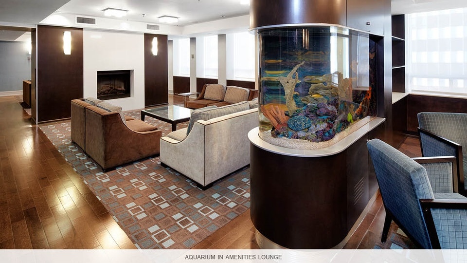 Two Bedroom overlooking the Yorkville neighbourhood 2