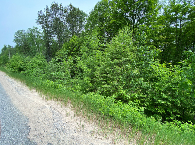 Building Lot For Sale In Bancroft in Land for Sale in Trenton - Image 2