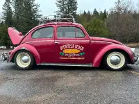 Beetle 1958