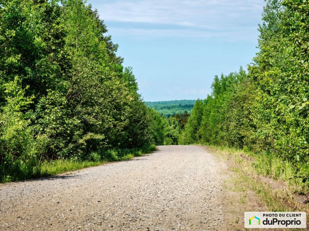 $63,478.50 - Residential Lot for sale in La Patrie — photo 1