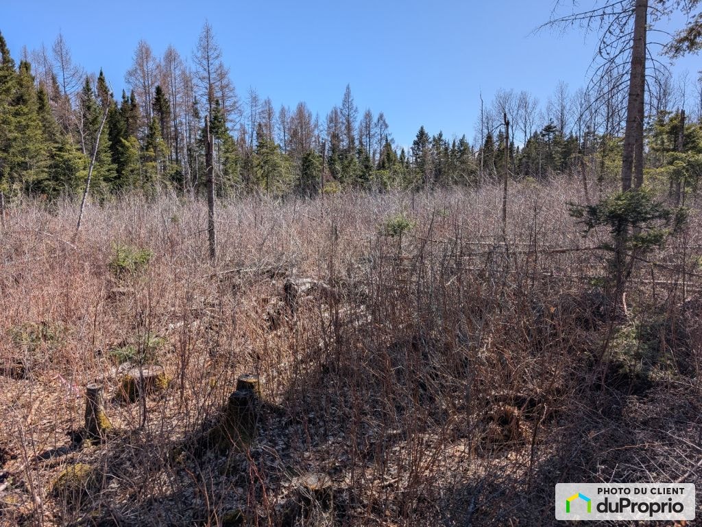 $39,900 - Residential Lot for sale in St-Bruno-De-Kamouraska — photo 3