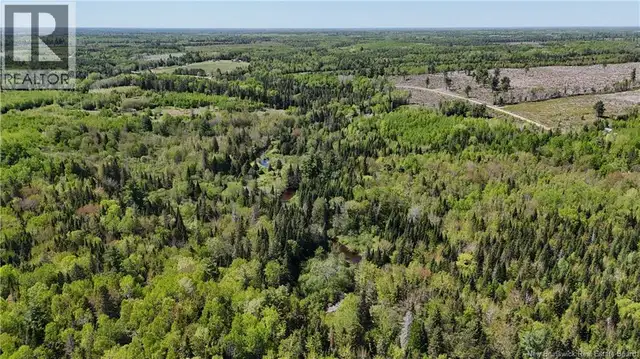 LOT Dargavels Road Bass River, New Brunswick in Land for Sale in Moncton - Image 6
