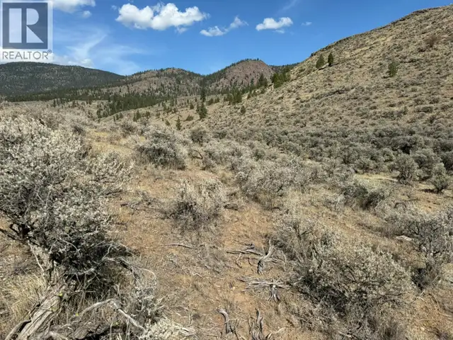 NE 1/4 Ashcroft Road Cache Creek, British Columbia in Land for Sale in Kamloops - Image 16