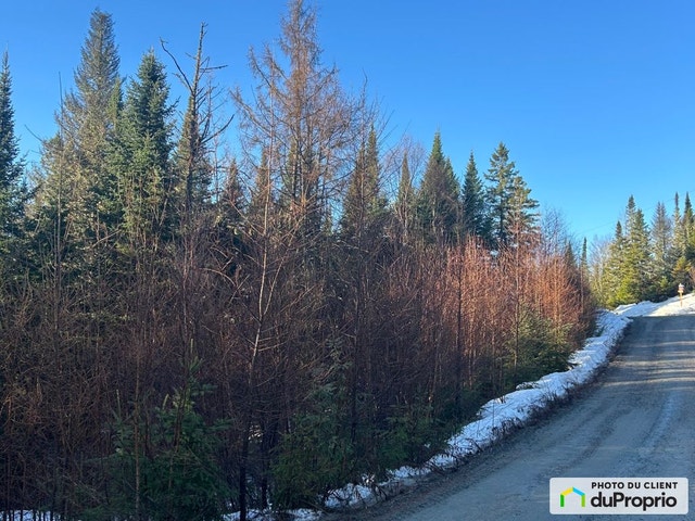 $92,000 - Residential Lot for sale in Val-David — photo 1